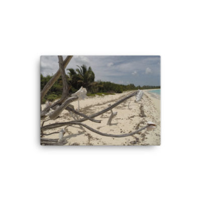 Driftwood Offering, Canvas Print